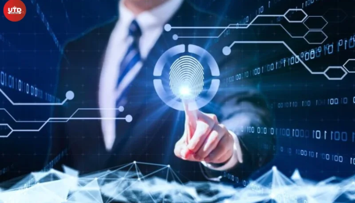 ziimp .com tech
